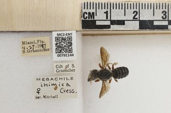 Media type: image;   Entomology 791144 Aspect: Labels